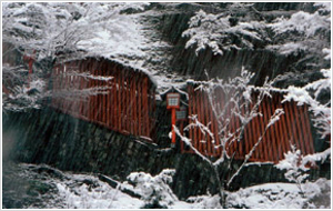 吹雪の津和野太鼓谷稲城画像